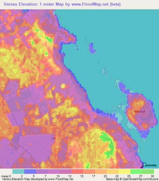 Varssu,Estonia Elevation Map