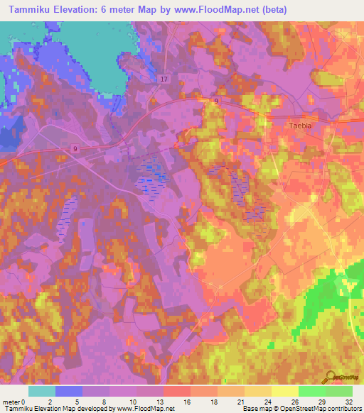 Tammiku,Estonia Elevation Map