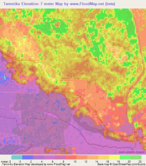 Tammiku,Estonia Elevation Map