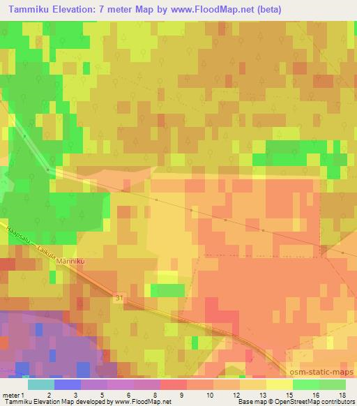 Tammiku,Estonia Elevation Map