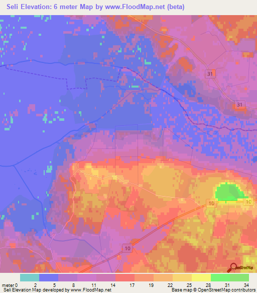 Seli,Estonia Elevation Map