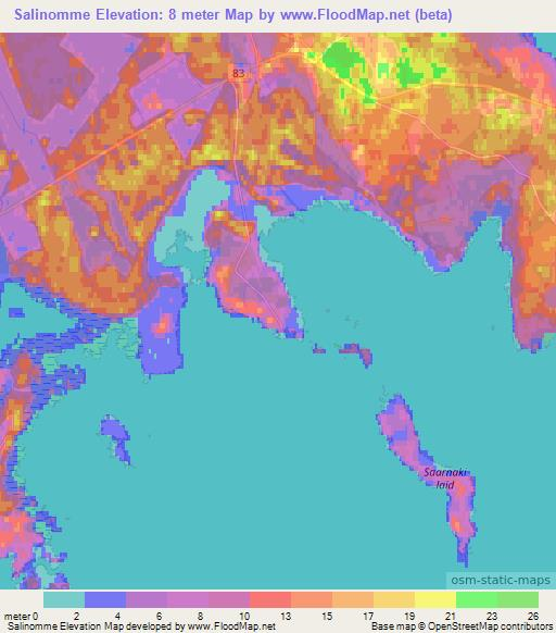 Salinomme,Estonia Elevation Map