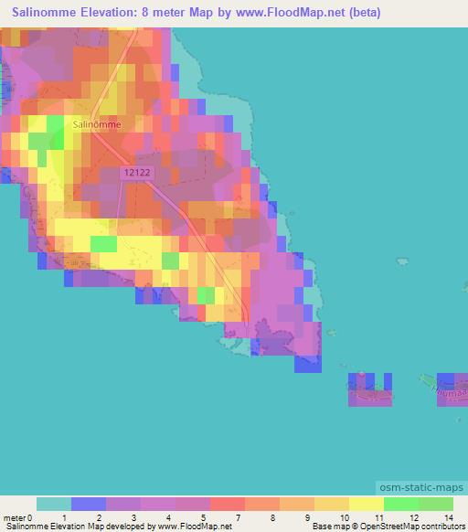 Salinomme,Estonia Elevation Map