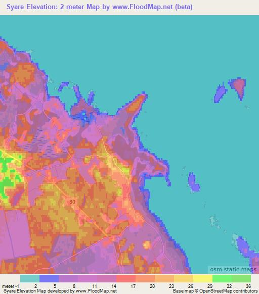 Syare,Estonia Elevation Map