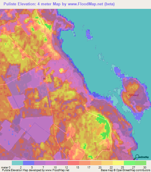 Puliste,Estonia Elevation Map