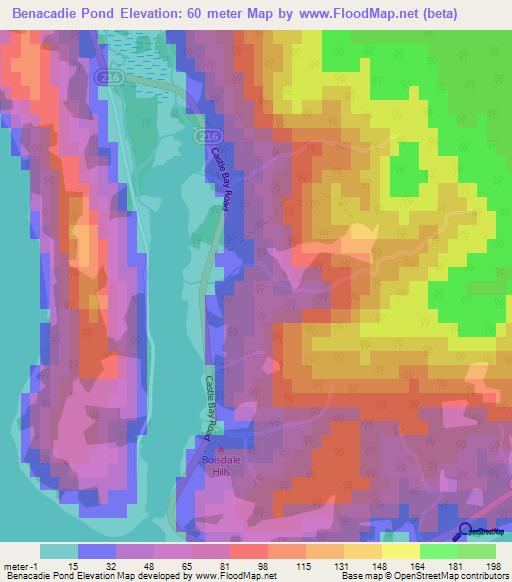 Benacadie Pond,Canada Elevation Map