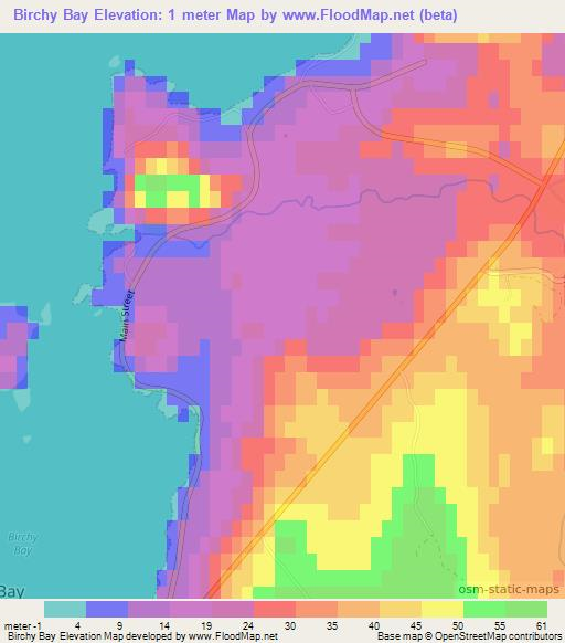 Elevation Of Birchy Bay,canada Elevation Map, Topography, Contour