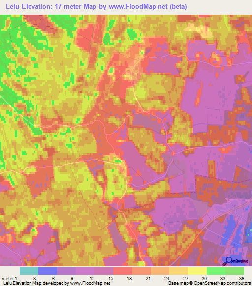 Lelu,Estonia Elevation Map