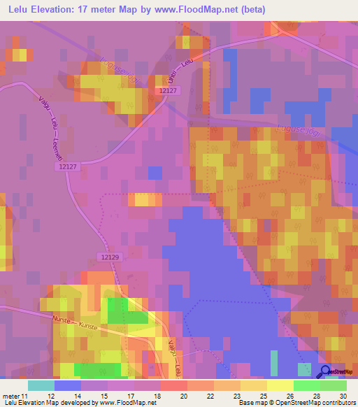Lelu,Estonia Elevation Map