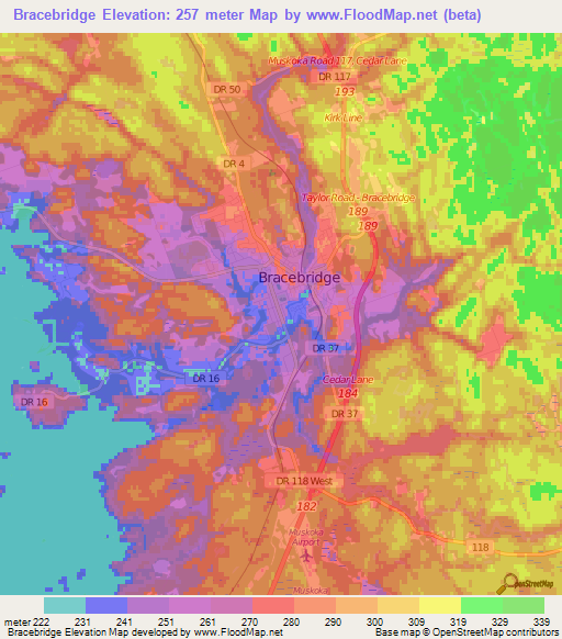 Bracebridge,Canada Elevation Map