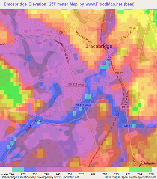 Bracebridge,Canada Elevation Map