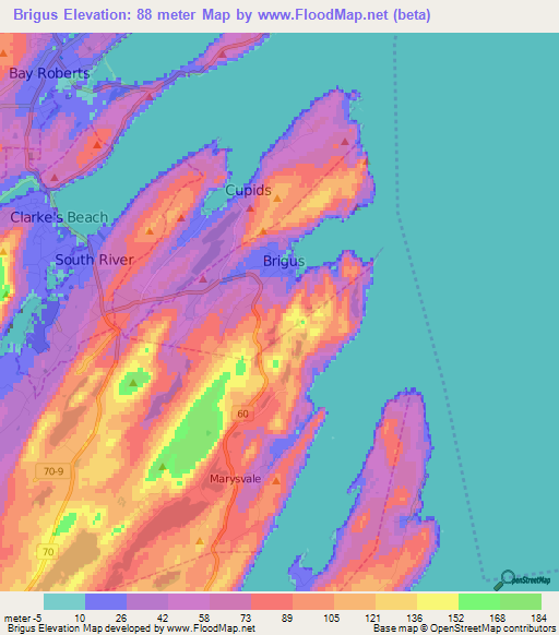 Brigus,Canada Elevation Map