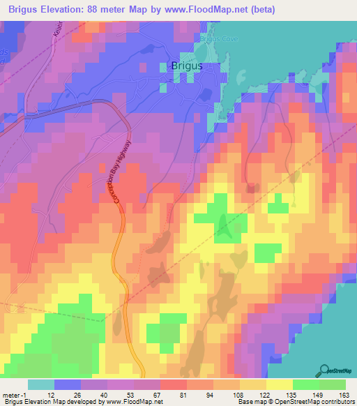 Brigus,Canada Elevation Map