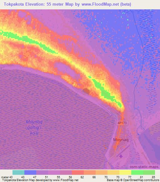 Tokpakota,Uzbekistan Elevation Map