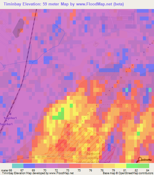 Timinbay,Uzbekistan Elevation Map