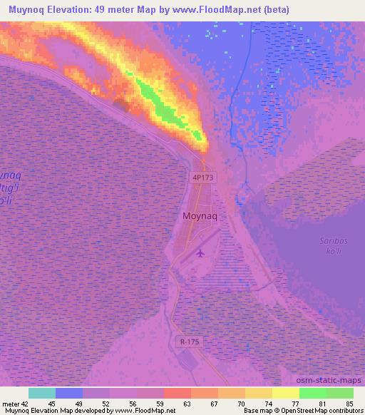 Muynoq,Uzbekistan Elevation Map