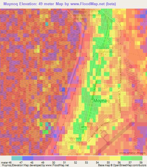 Muynoq,Uzbekistan Elevation Map