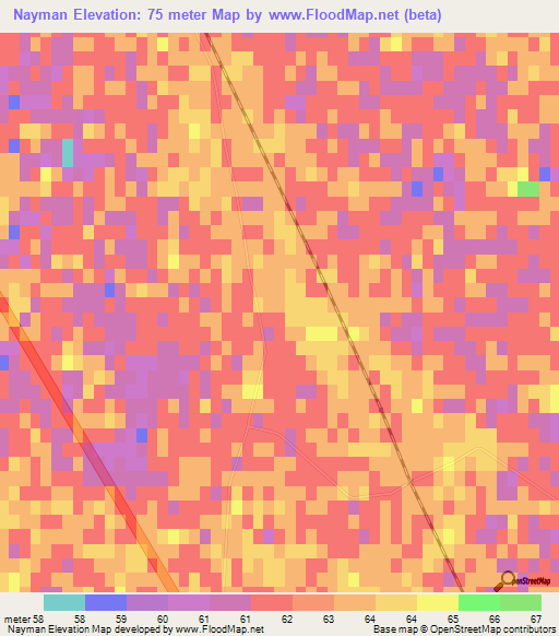 Nayman,Uzbekistan Elevation Map