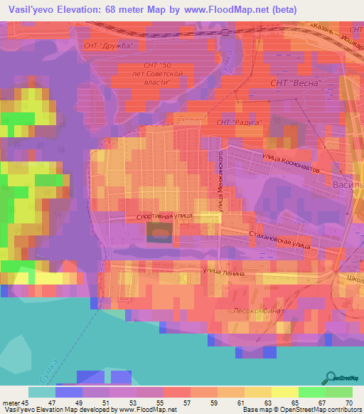 Vasil'yevo,Russia Elevation Map