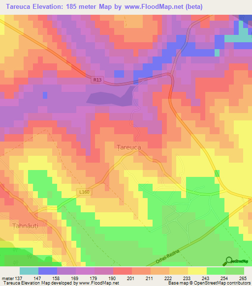 Tareuca,Moldova Elevation Map