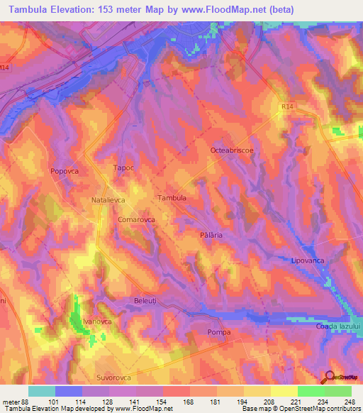 Tambula,Moldova Elevation Map