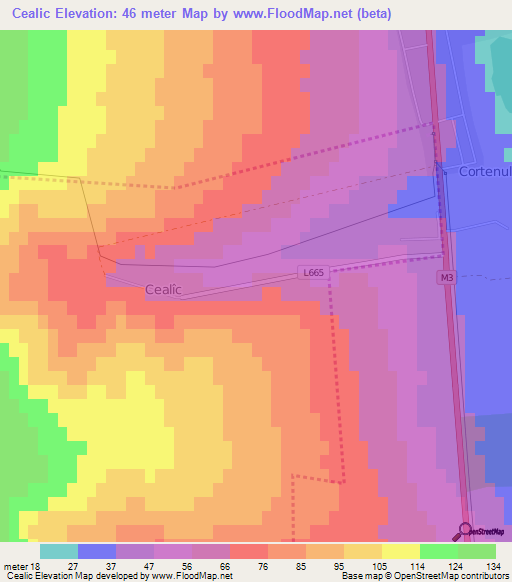 Cealic,Moldova Elevation Map