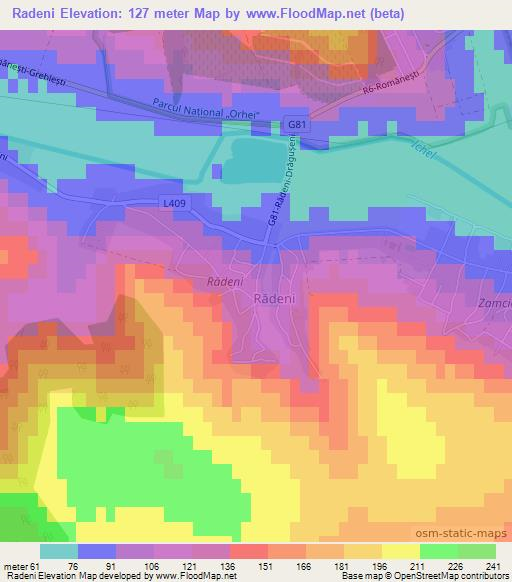 Radeni,Moldova Elevation Map