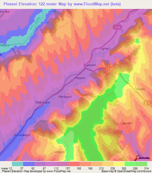 Pleseni,Moldova Elevation Map