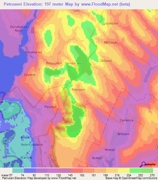 Petruseni,Moldova Elevation Map