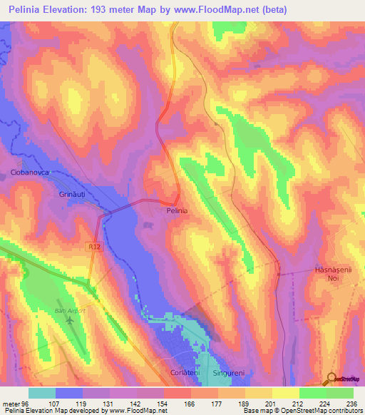 Pelinia,Moldova Elevation Map