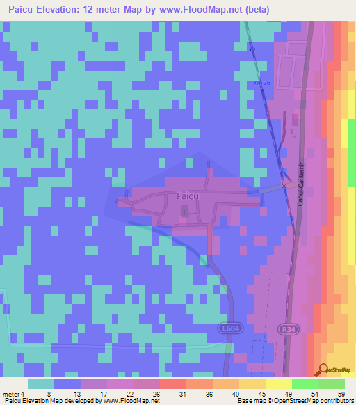 Paicu,Moldova Elevation Map