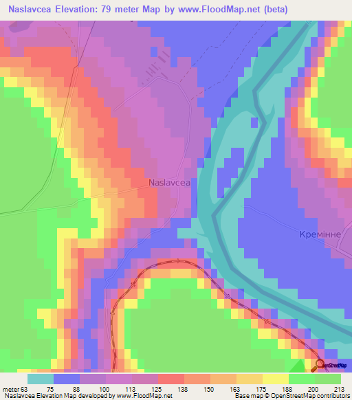 Naslavcea,Moldova Elevation Map