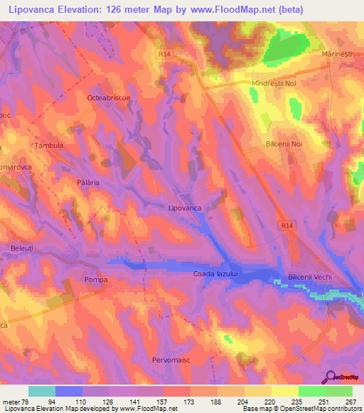 Lipovanca,Moldova Elevation Map