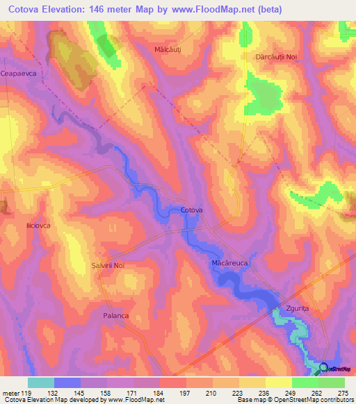 Cotova,Moldova Elevation Map