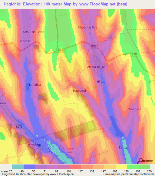 Hagichioi,Moldova Elevation Map