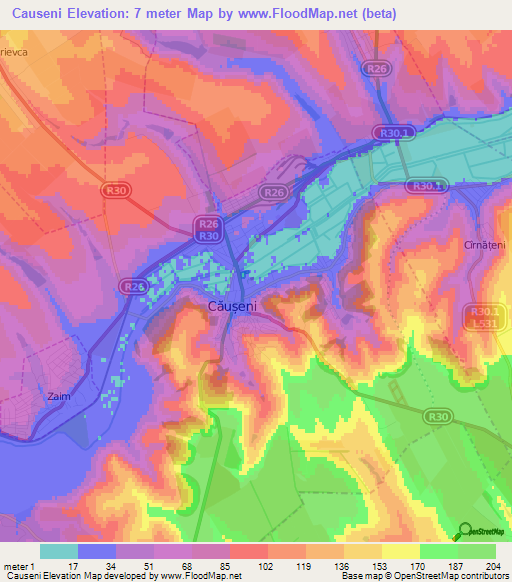 Causeni,Moldova Elevation Map