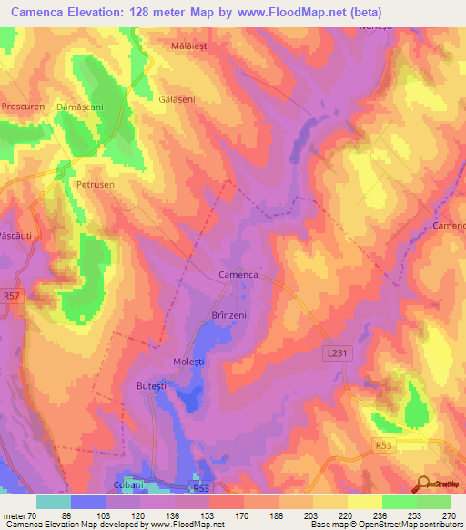 Camenca,Moldova Elevation Map