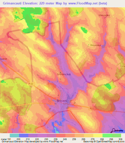 Grimancauti,Moldova Elevation Map