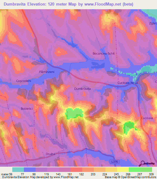 Dumbravita,Moldova Elevation Map