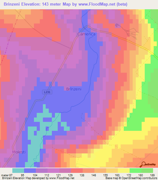 Brinzeni,Moldova Elevation Map