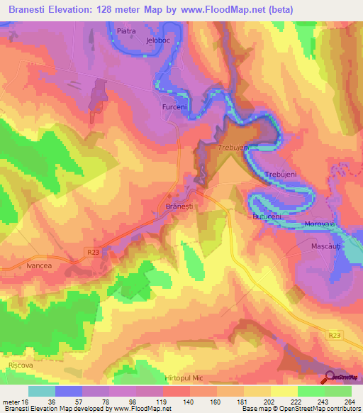 Branesti,Moldova Elevation Map