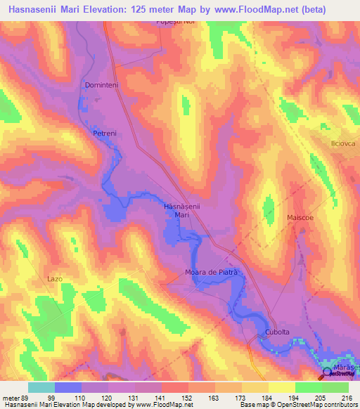 Hasnasenii Mari,Moldova Elevation Map