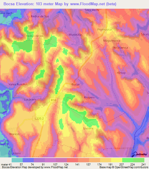 Bocsa,Moldova Elevation Map