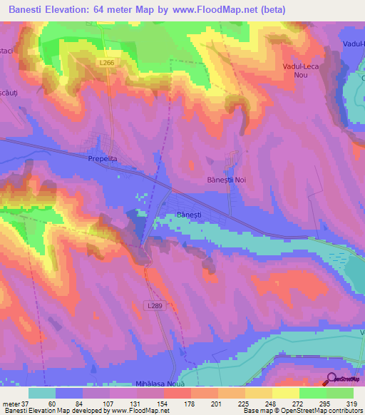 Banesti,Moldova Elevation Map