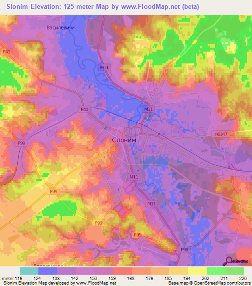 Slonim,Belarus Elevation Map