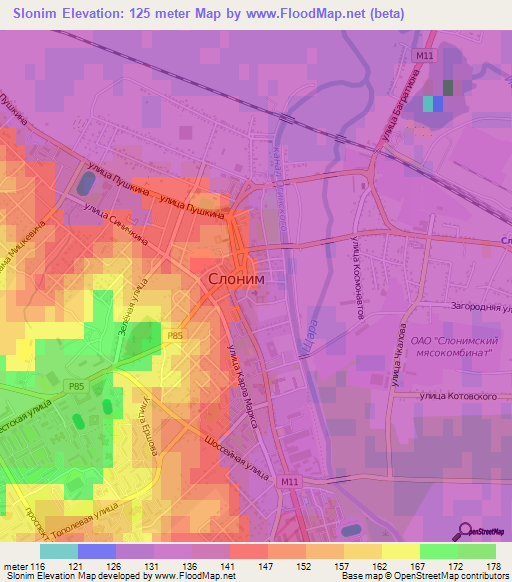 Slonim,Belarus Elevation Map