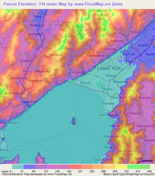 Petone,New Zealand Elevation Map