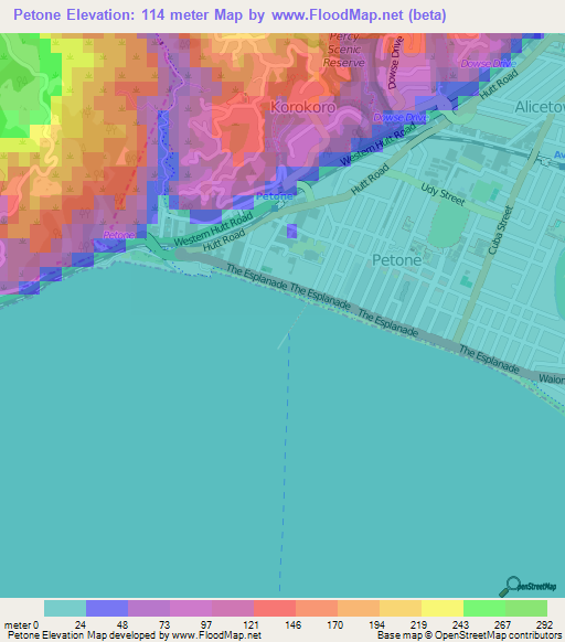 Petone,New Zealand Elevation Map