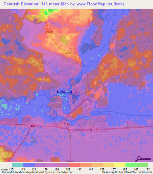 Dobrush,Belarus Elevation Map