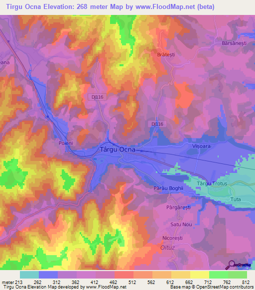 Tirgu Ocna,Romania Elevation Map